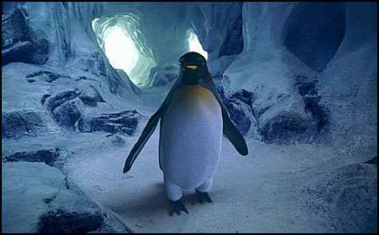Penguin - Fight Club