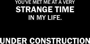 You've met me at a very strange time in my life.